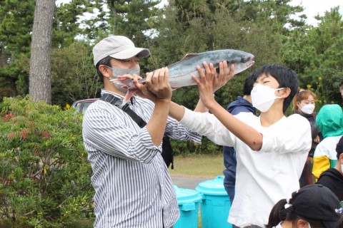 エコツアー　渥美を学び、渥美を食べよう！