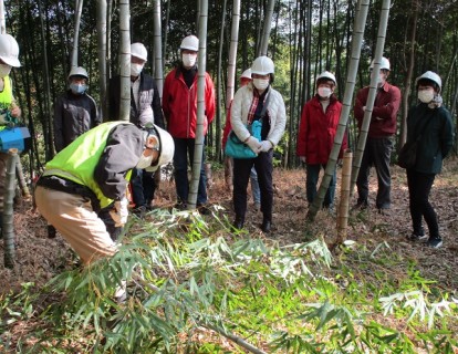 竹について学び、竹藪の整備を体験しよう