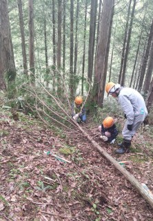 水源の森探索