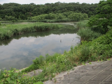 水の環（わ）でつむぐ、なごや