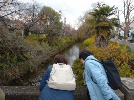 「ゆるり時間」まちなかで ゆっくり自然を楽しもう