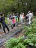もりもり自然探検・大発見