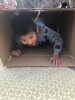 りす山遊び