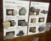 ふしぎ発見!?地球探検隊