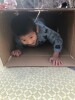 りす山遊び