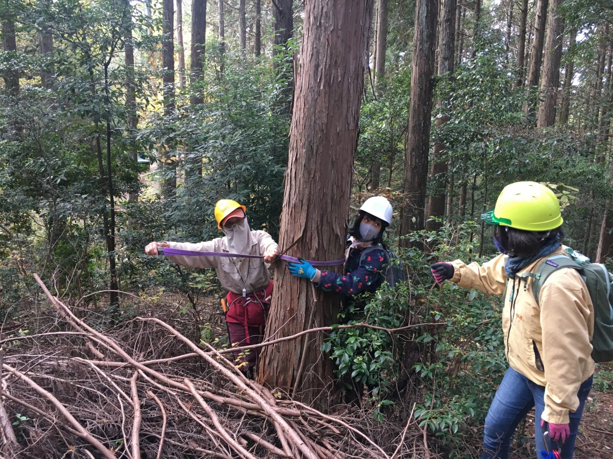 森を育む人づくり講座 in みたけ