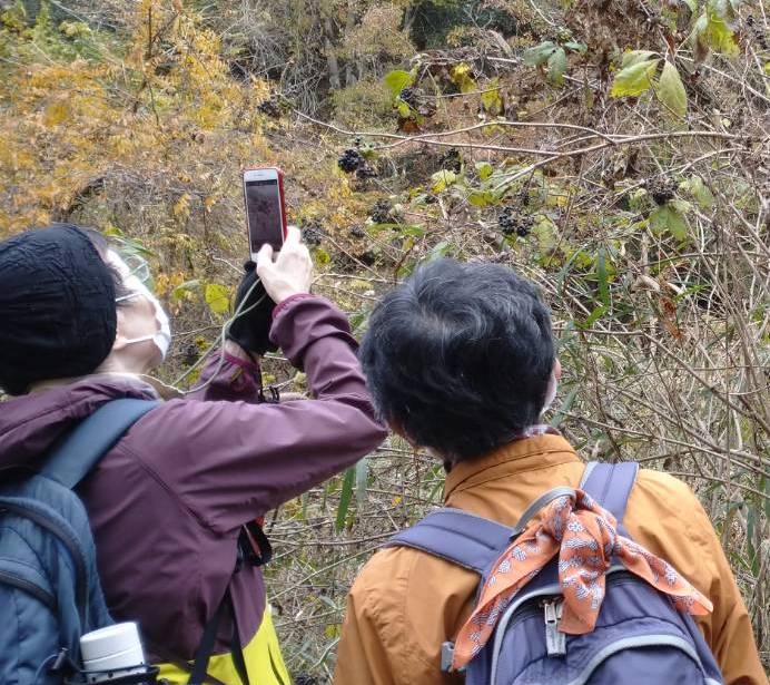 「ゆるり時間」まちなかでゆっくり自然を楽しもう