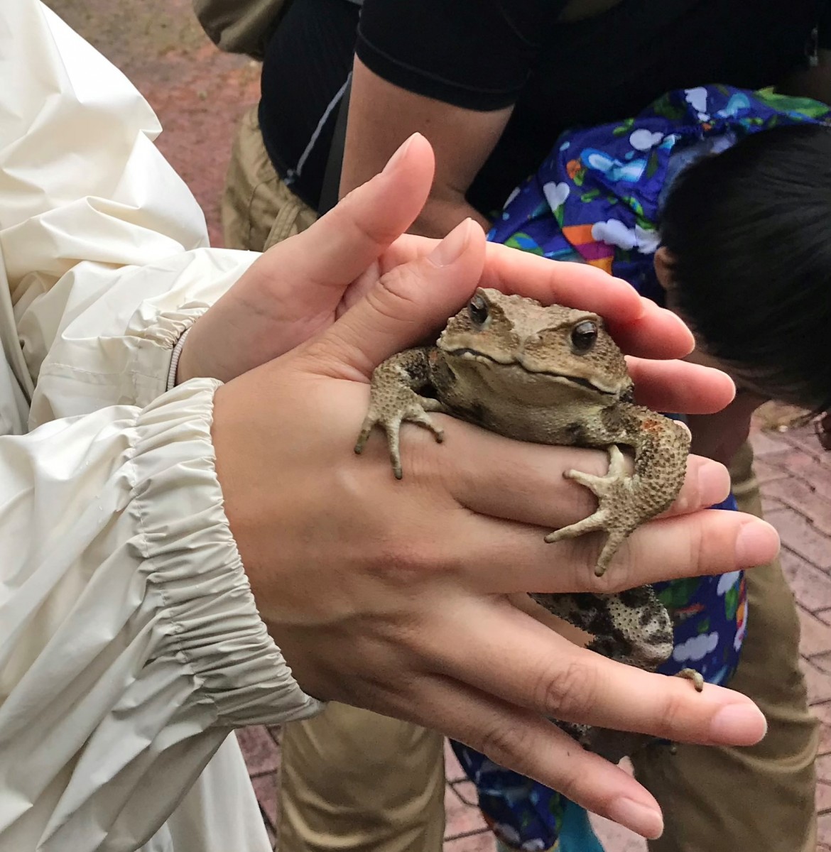 むささびっ子の森くらぶ