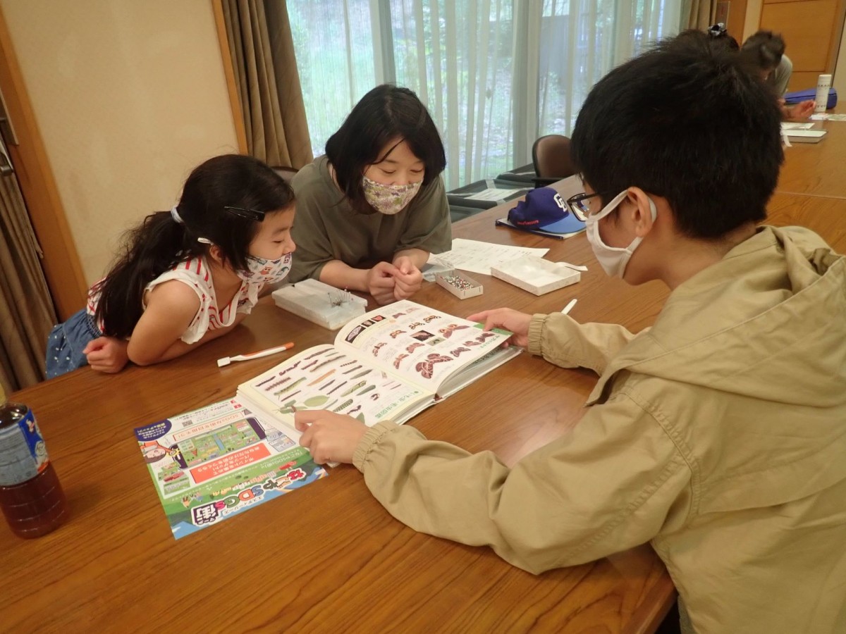 夜の東山の森で虫たちを灯火採集！