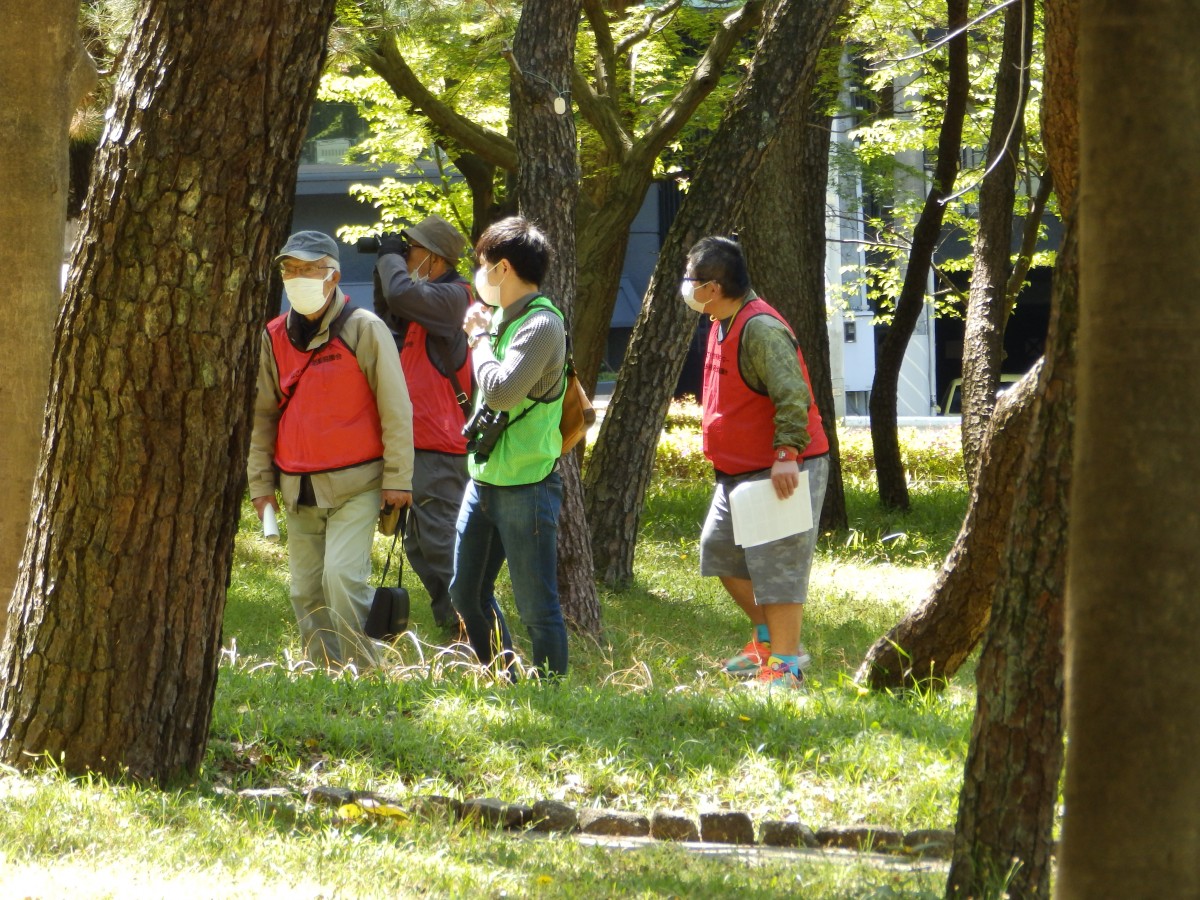 山崎川の自然を知ろう！