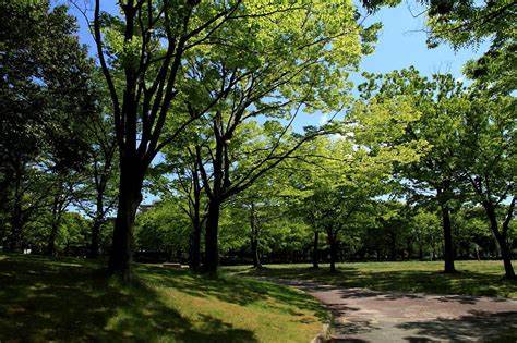 身近な森に目を向けて~熱田で感じる自然の大切さ~
