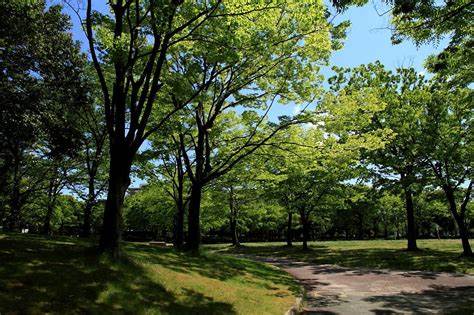 身近な森に目を向けて 熱田で感じる自然の大切さ なごや環境大学 名古屋市 圏域