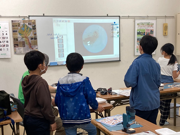 のぞいてみよう!プランクトンの世界