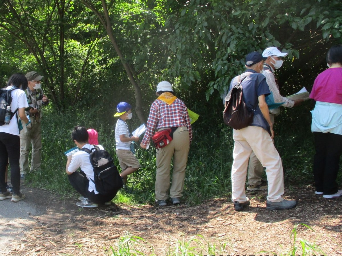 都市公園・緑地の樹木のふしぎ巡り