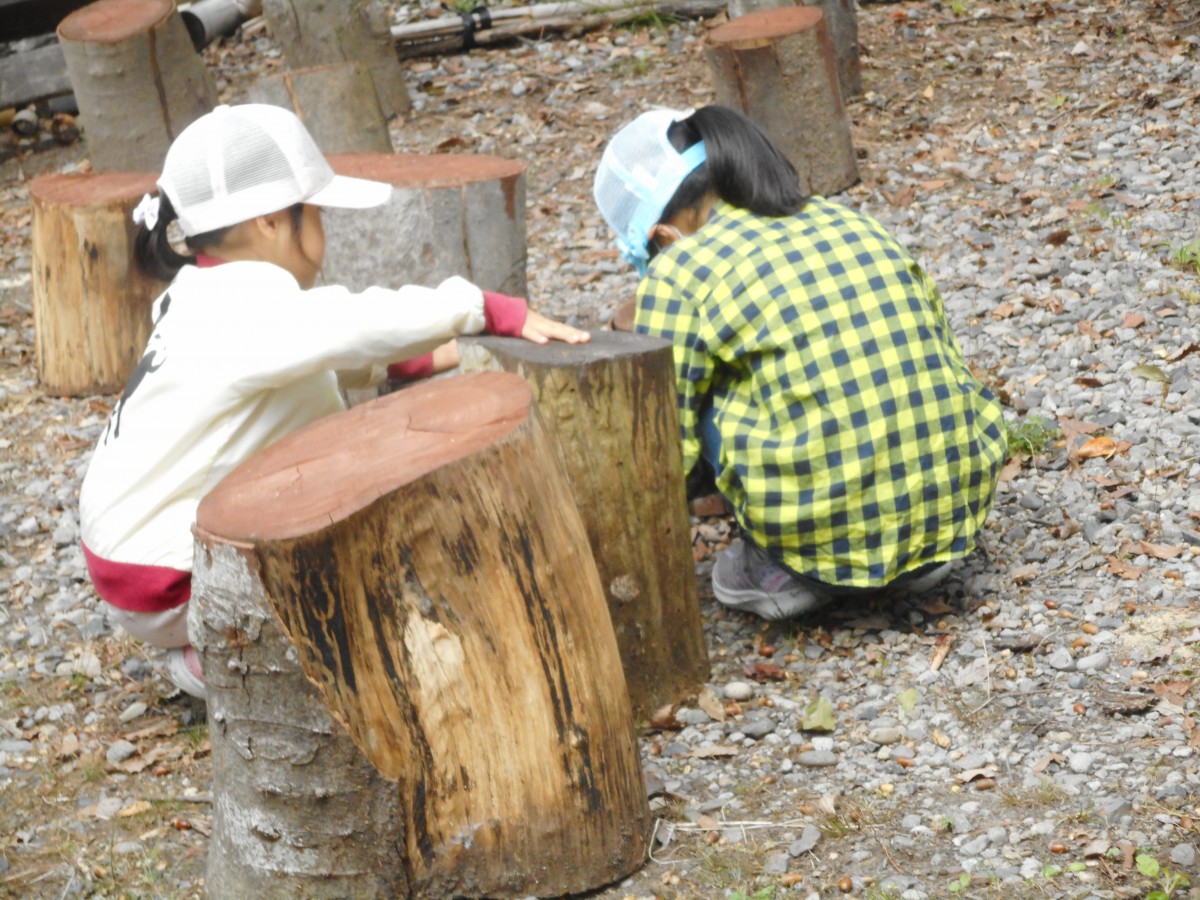 もりもり自然探検・大発見