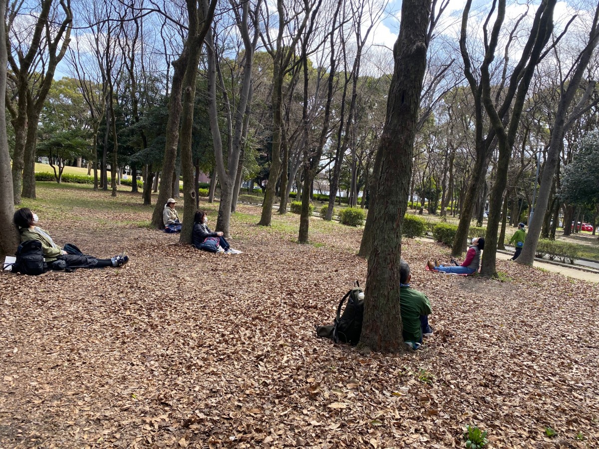 なごや・近郊の森de セルフケア