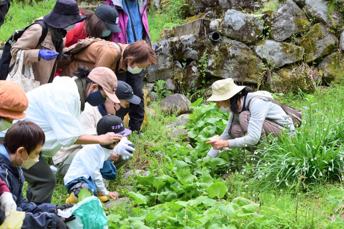 山県市北部でまったり2023