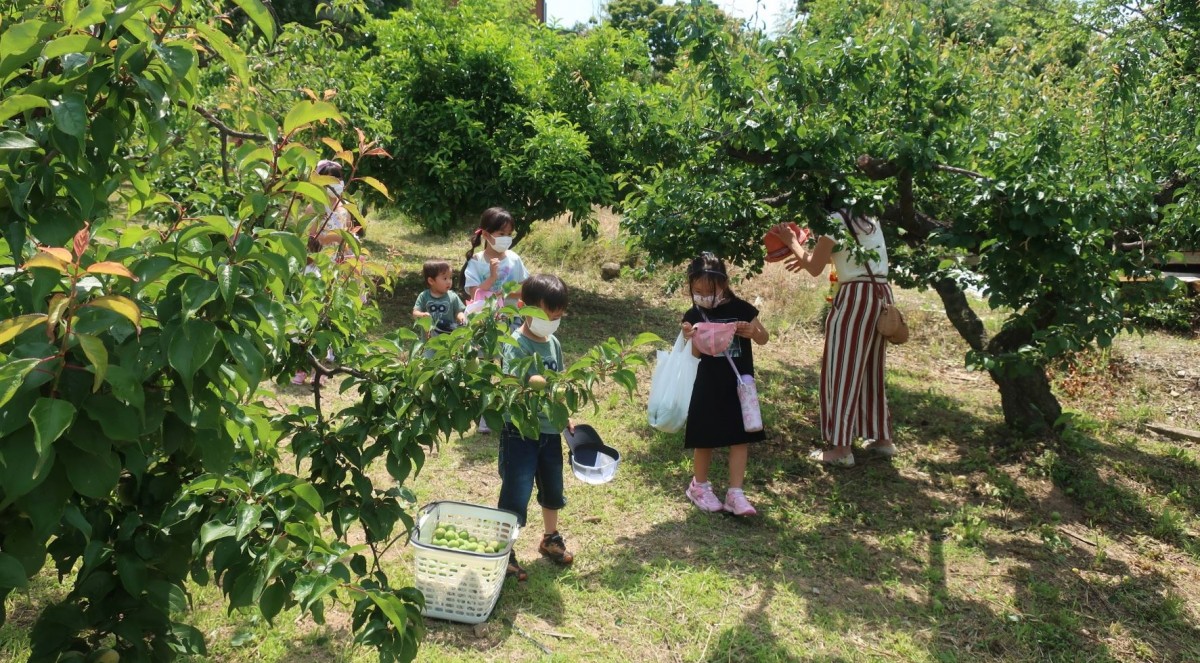 受講生と共につくり、学びあう体験講座