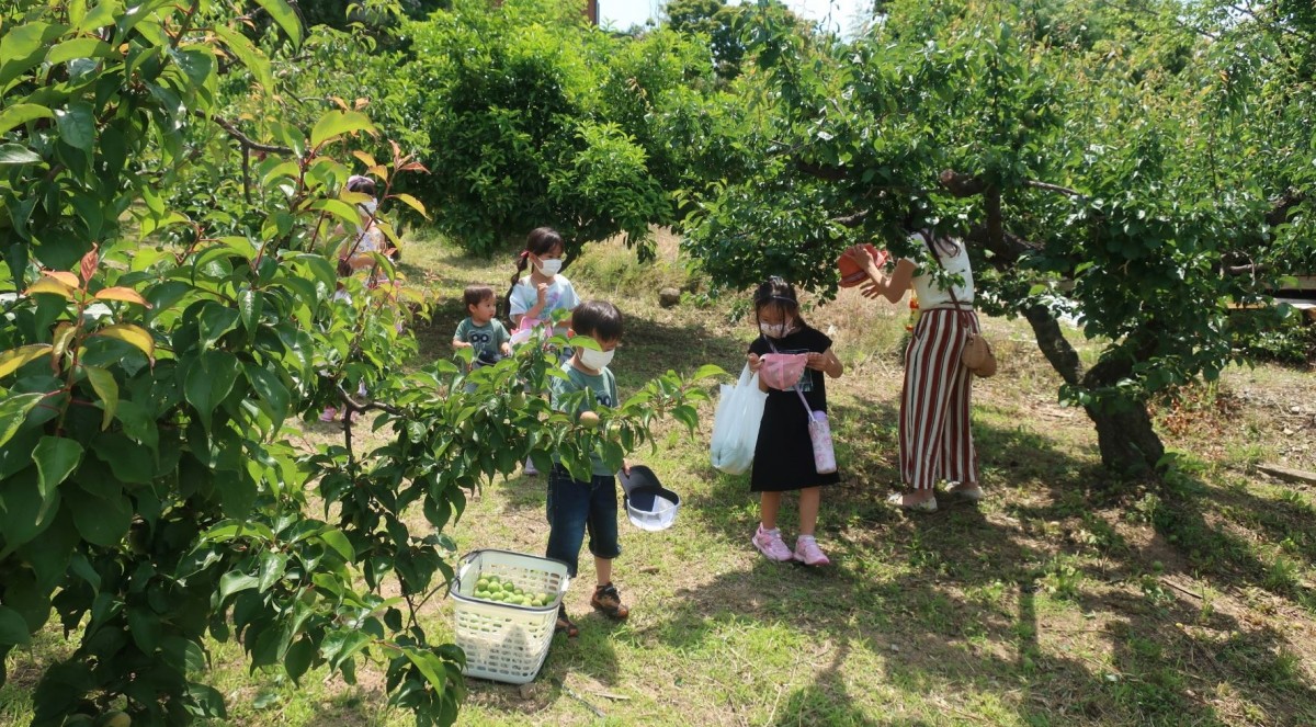 受講生と共につくり、学びあう体験講座　