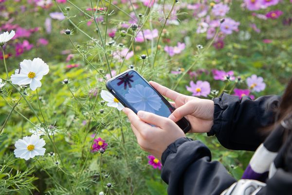見つける 楽しむ 自然の恵み