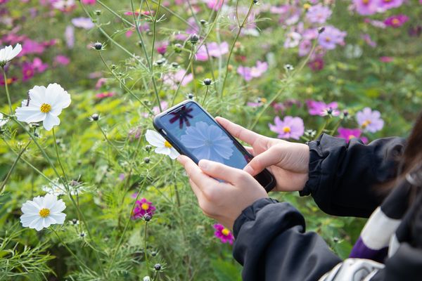 見つける　楽しむ　自然の恵み