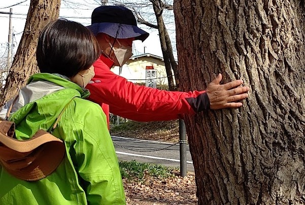 庄内川で自然を体感