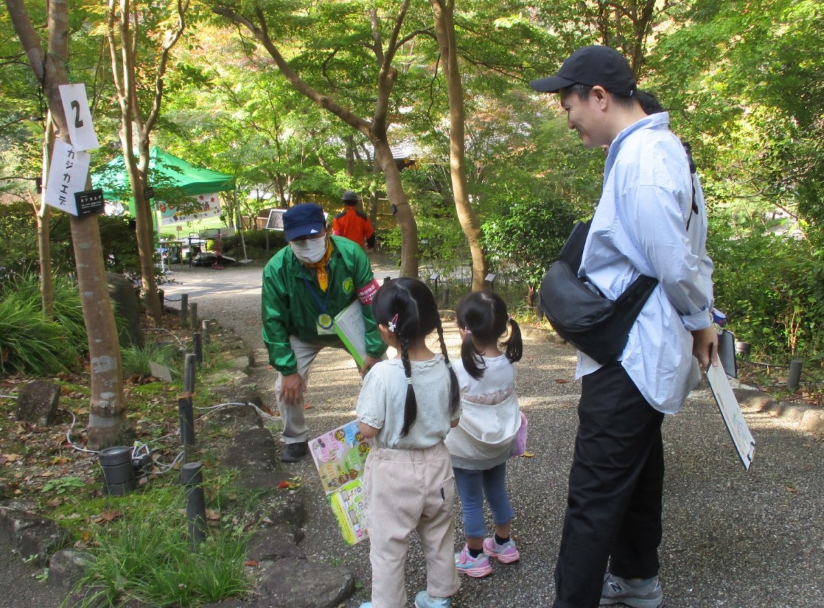 樹木のふしぎ巡りⅡ