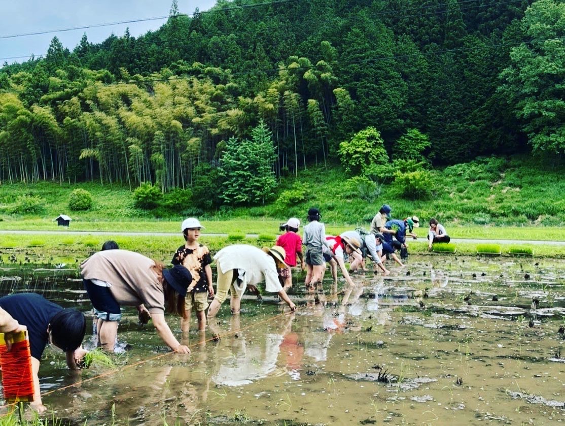 昔ながらの米づくり体験