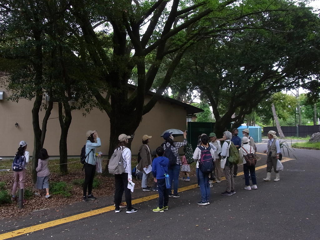 ふるさと親子自然観察会