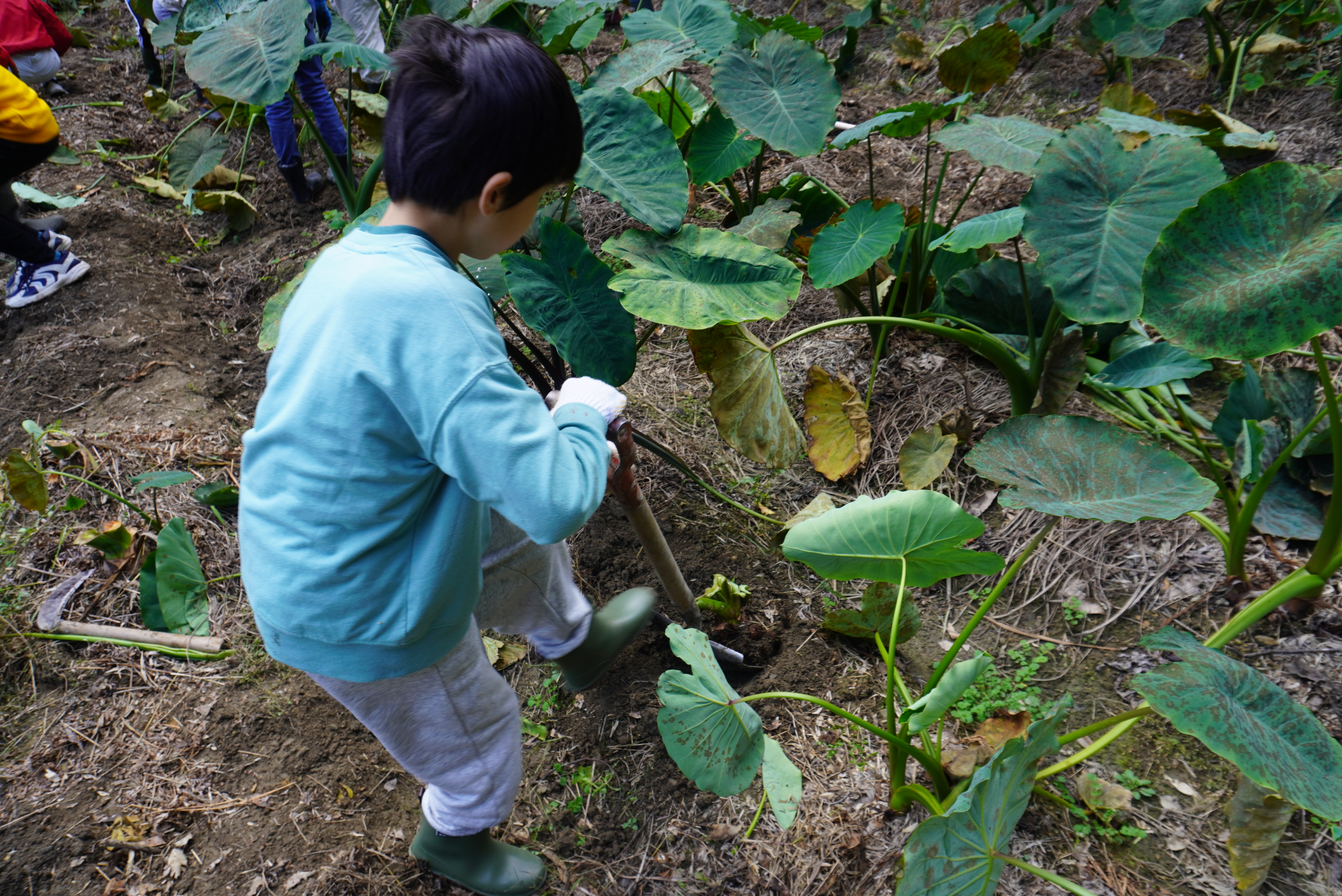 愛岐の里山たいけん隊