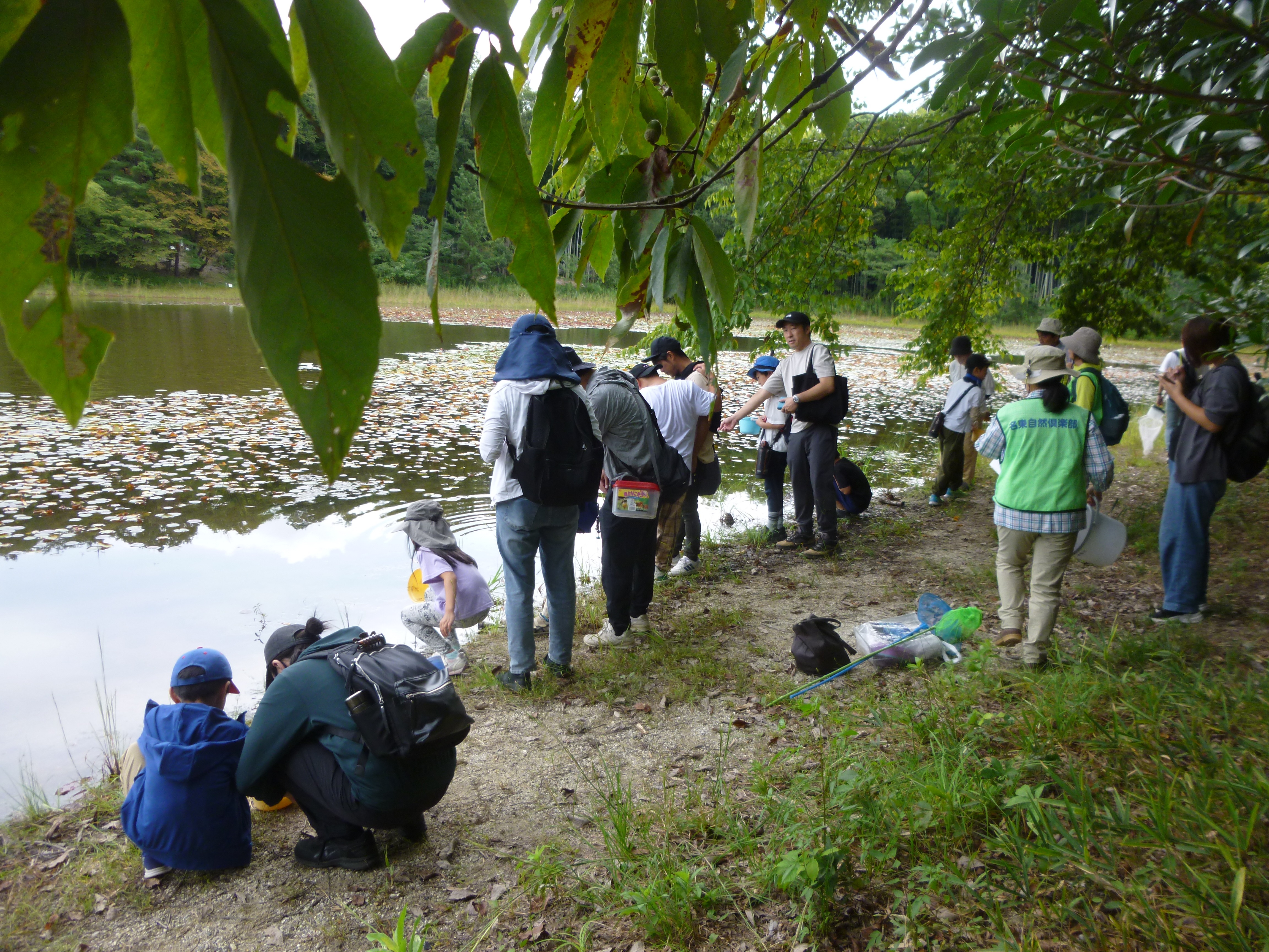 のぞいてみよう！ 水の中の小さな生き物たちの世界