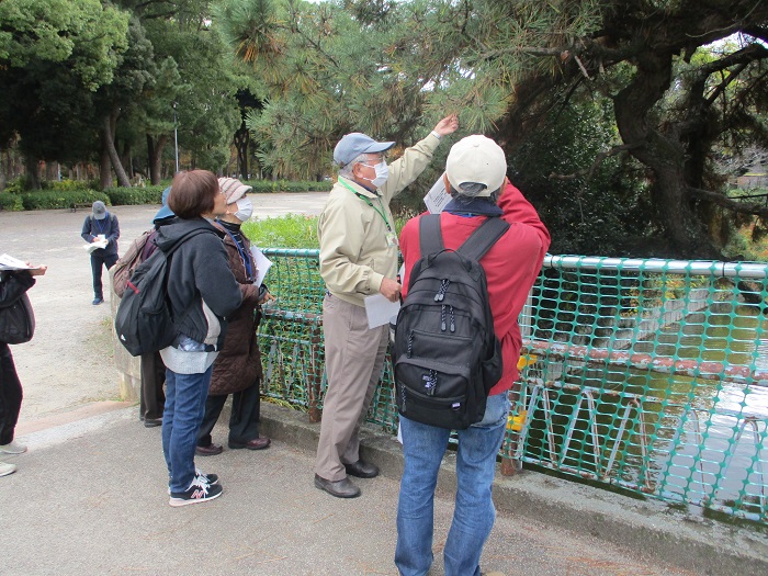 子どもも大人も樹木博士シリーズⅣ もりの樹木たちのふしぎ発見!!