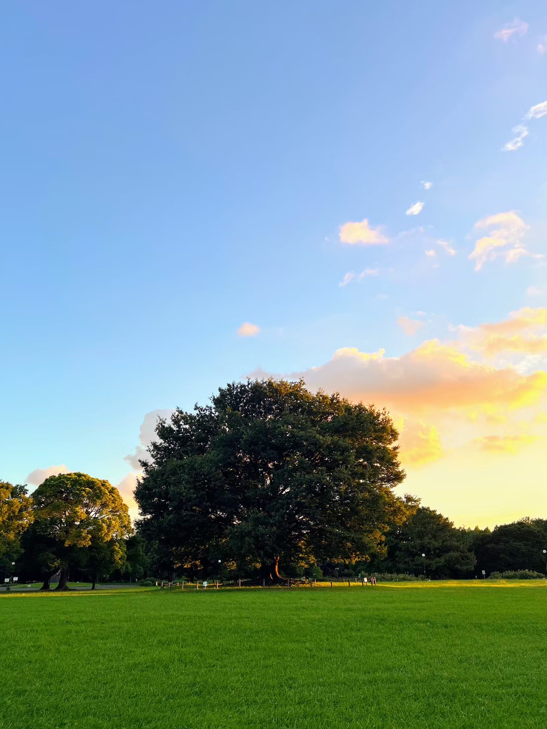 ♪親子で楽しむネイチャーゲーム♪
