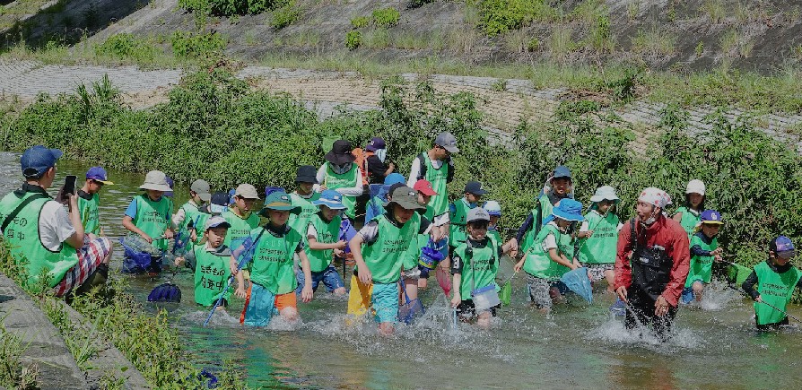 山崎川の生きもの観察会