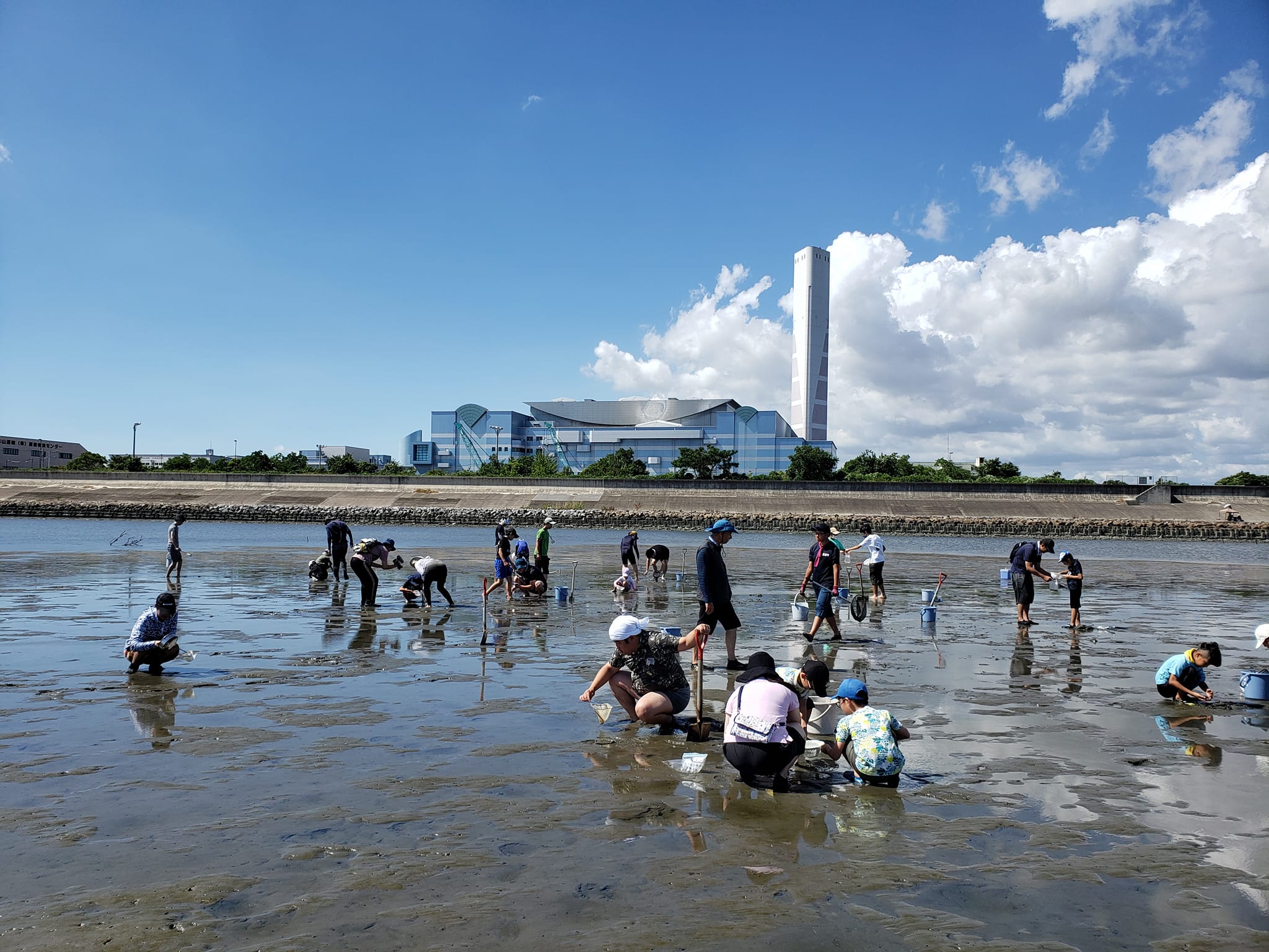 干潟の学校～藤前干潟を体感しよう！～