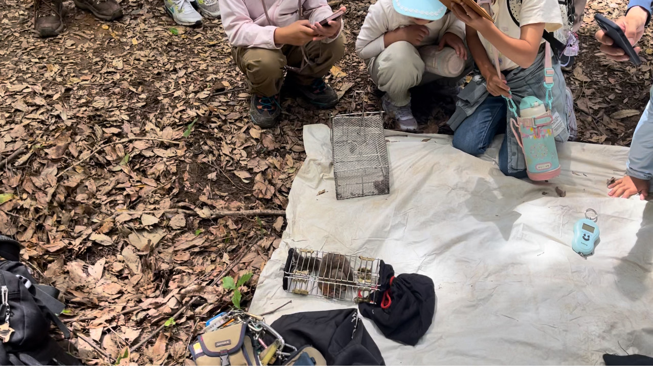 りす山の自然学校：あなたの新しい学びの冒険がここに。