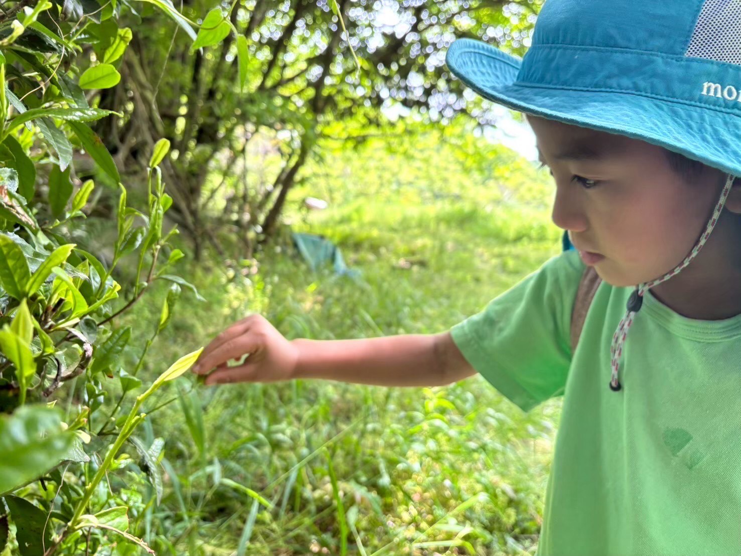 りす山遊び「季節を感じる自然体験をしよう！」