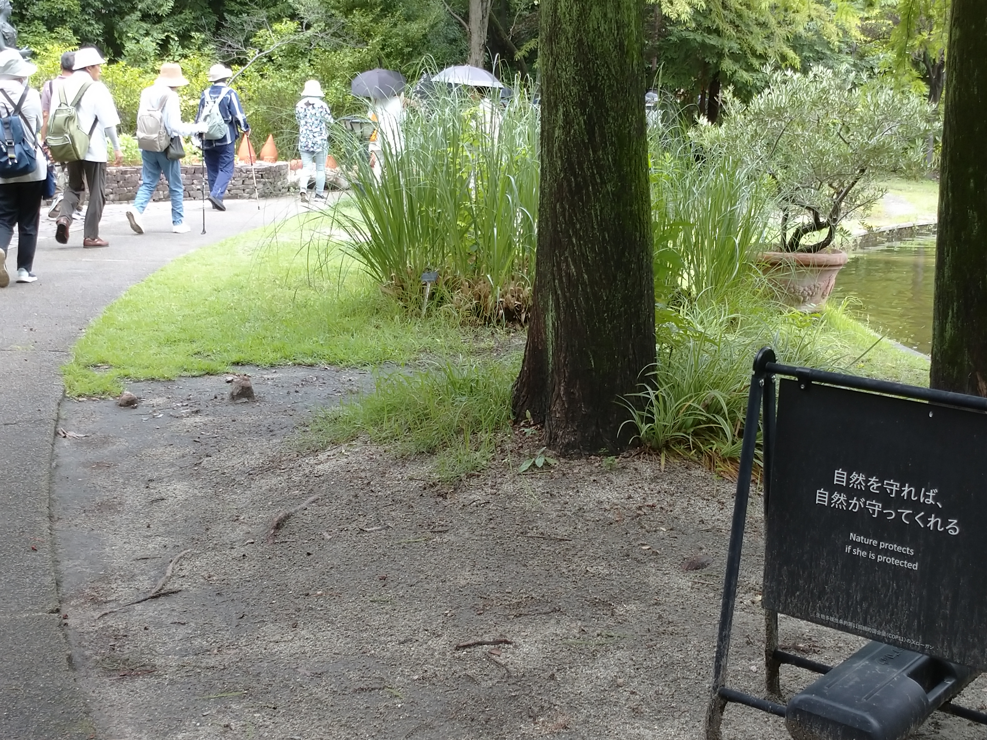 「ゆるり時間」まちなかでゆっくり自然を楽しもう