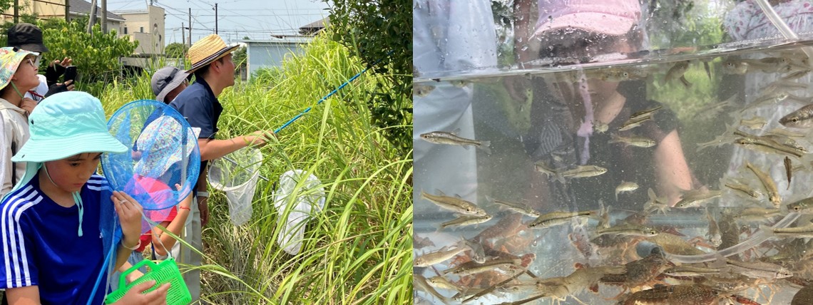 カトケン自然観察会