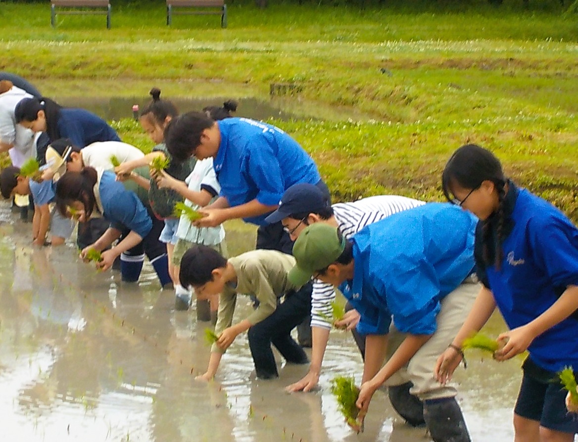 田んぼ体験しよう！