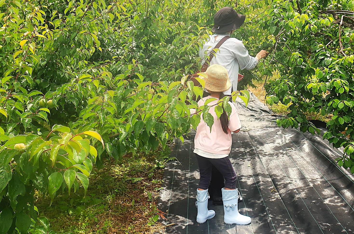 受講生と共につくり、学びあう体験講座