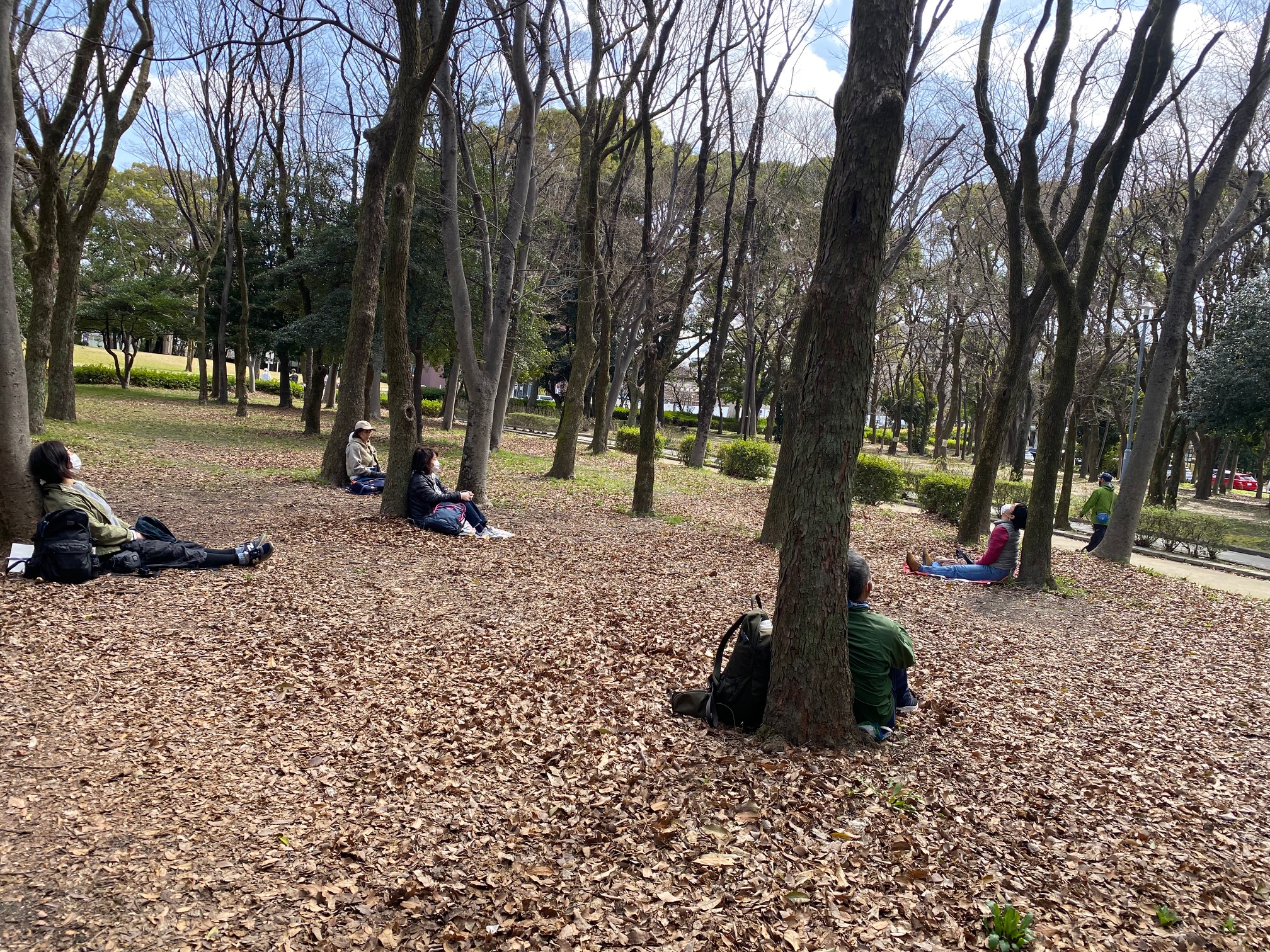 なごやの森deセルフケア