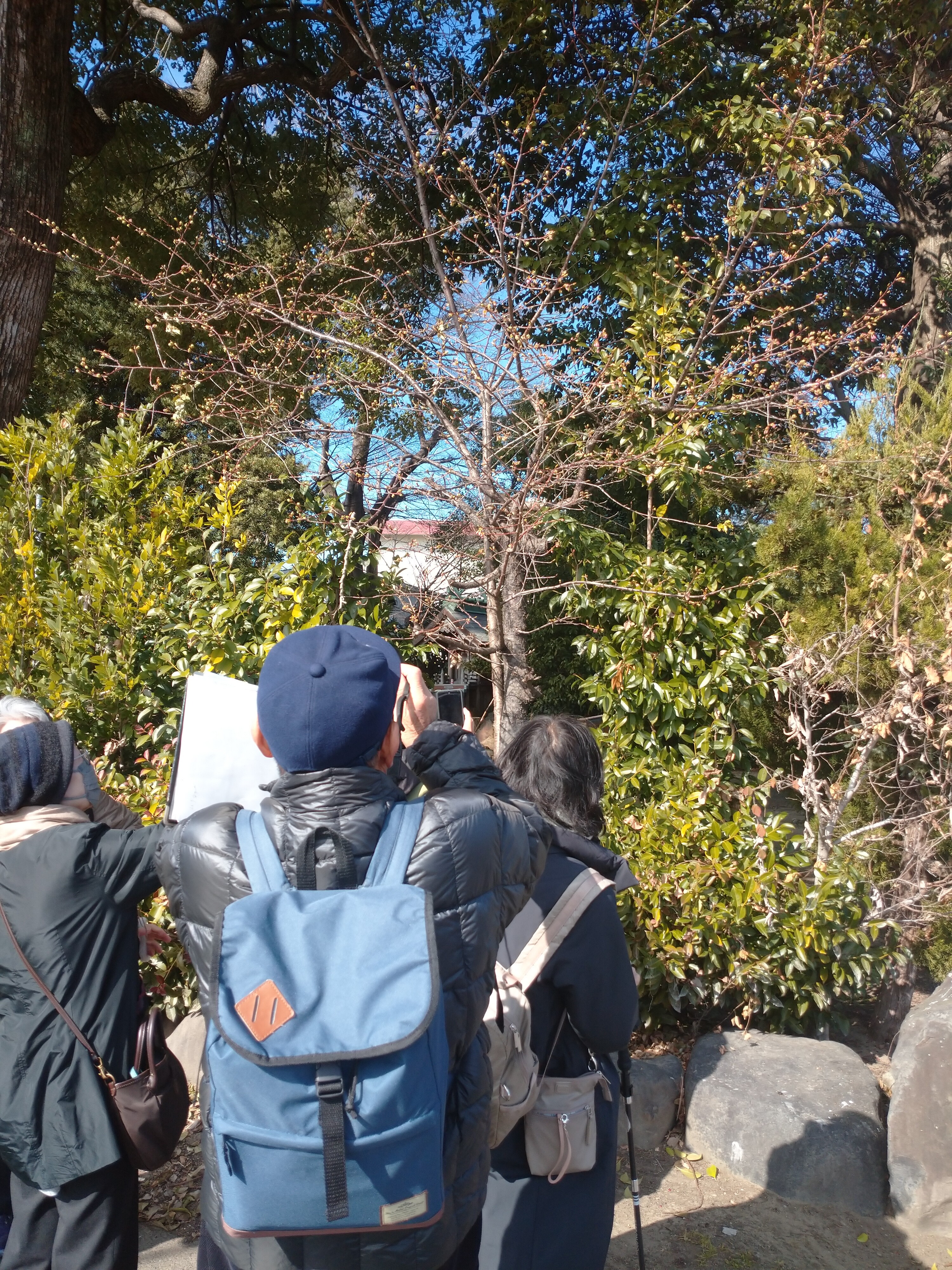 「ゆるり時間」